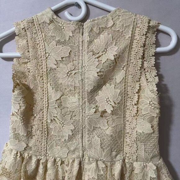 Girls Birthday Wedding & Flower Sleeveless A-Line Lace Party Dress  (11/12Years） - Picture 10 of 12